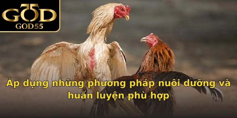 Áp dụng những phương pháp nuôi dưỡng và huấn luyện phù hợp