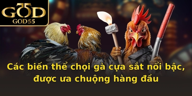 Các biến thể chọi gà cựa sắt nổi bậc, được ưa chuộng hàng đầu