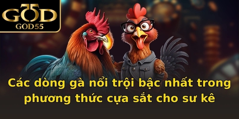 Các dòng gà nổi trội bậc nhất trong phương thức cựa sắt cho sư kê