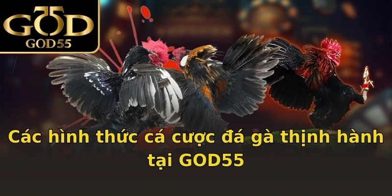 Các hình thức cá cược đá gà thịnh hành tại GOD55