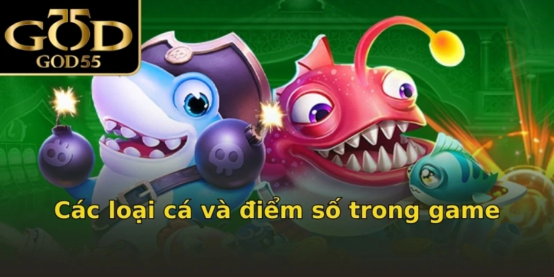 Các loại cá và điểm số trong game