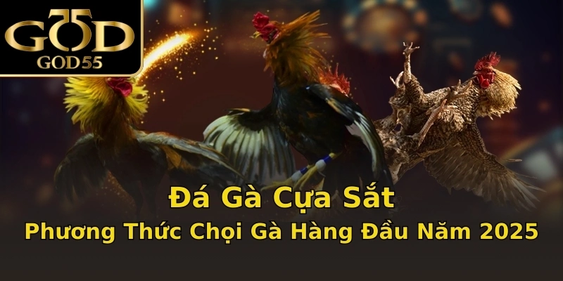 Đá Gà Cựa Sắt | Phương Thức Chọi Gà Hàng Đầu Năm 2025