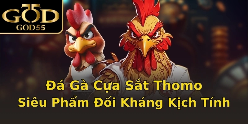 Đá Gà Cựa Sắt Thomo - Siêu Phẩm Đối Kháng Kịch Tính