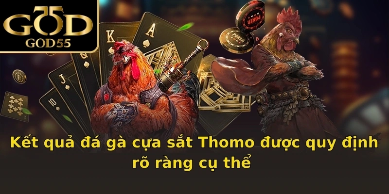 Kết quả đá gà cựa sắt Thomo được quy định rõ ràng cụ thể