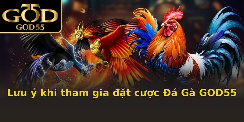 Lưu ý khi tham gia đặt cược Đá Gà GOD55