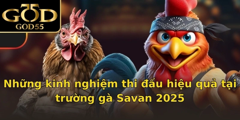 Những kinh nghiệm thi đấu hiệu quả tại trường gà Savan 2025