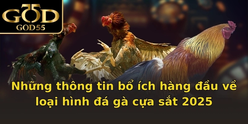 Những thông tin bổ ích hàng đầu về loại hình đá gà cựa sắt 2025