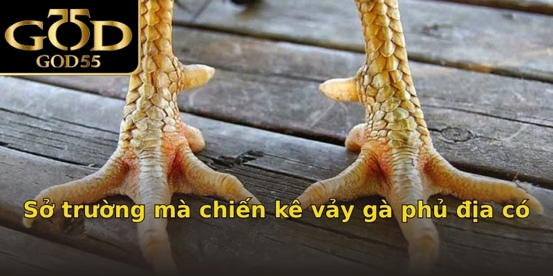 Sở trường mà chiến kê vảy gà phủ địa có