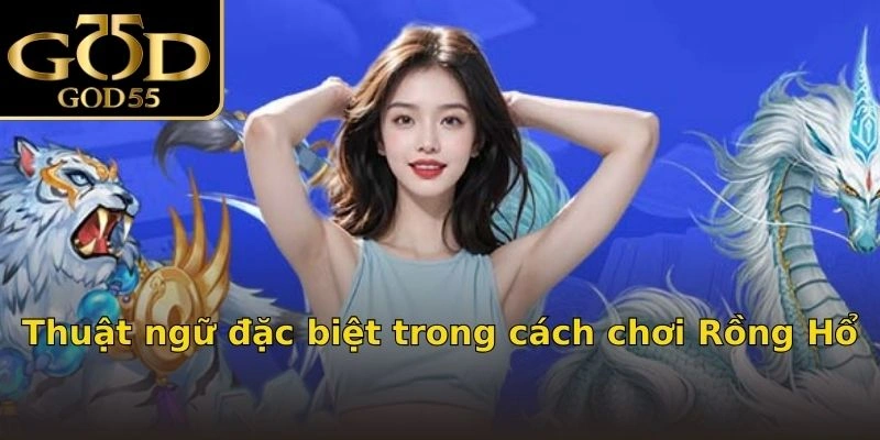 Thuật ngữ đặc biệt trong cách chơi Rồng Hổ