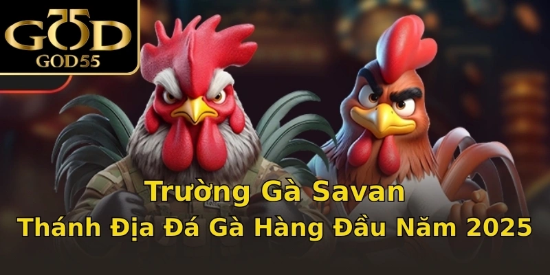 Trường Gà Savan | Thánh Địa Đá Gà Hàng Đầu Năm 2025
